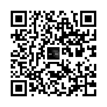 skins.qr_code_alt