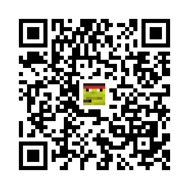 skins.qr_code_alt