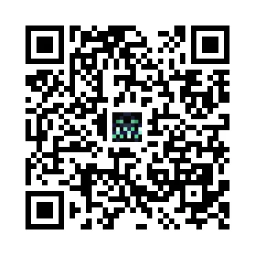 skins.qr_code_alt