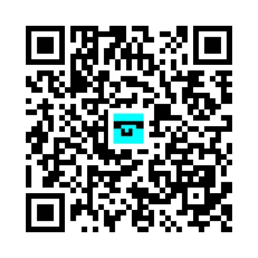 skins.qr_code_alt