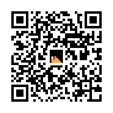 skins.qr_code_alt