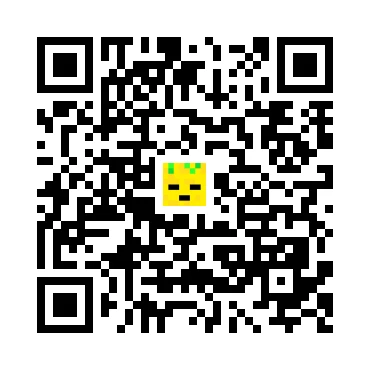 skins.qr_code_alt