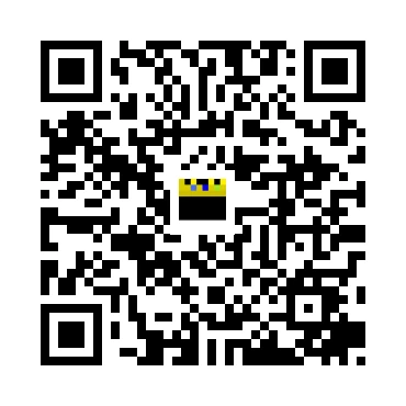 skins.qr_code_alt