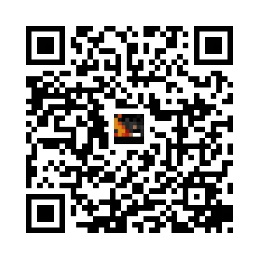 skins.qr_code_alt