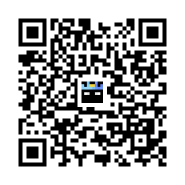 skins.qr_code_alt