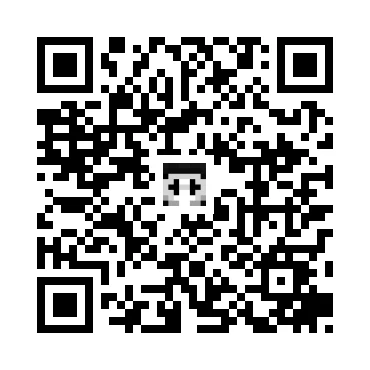 skins.qr_code_alt