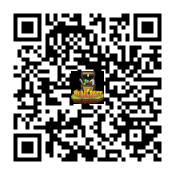 Server QR Code