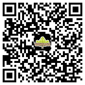 Server QR Code