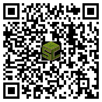 Server QR Code