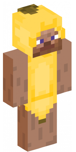 Minecraft Skin #205200