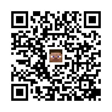 skins.qr_code_alt