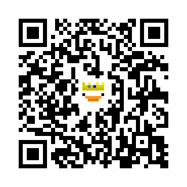 skins.qr_code_alt