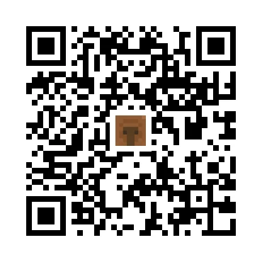 skins.qr_code_alt