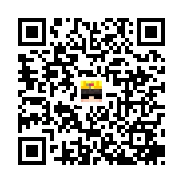 skins.qr_code_alt