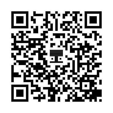 skins.qr_code_alt