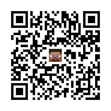 skins.qr_code_alt