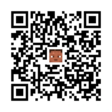 skins.qr_code_alt