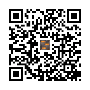 skins.qr_code_alt