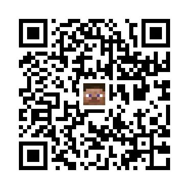 skins.qr_code_alt