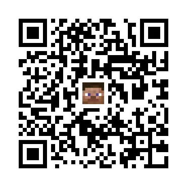 skins.qr_code_alt