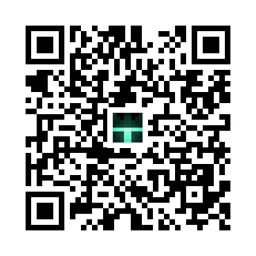 skins.qr_code_alt