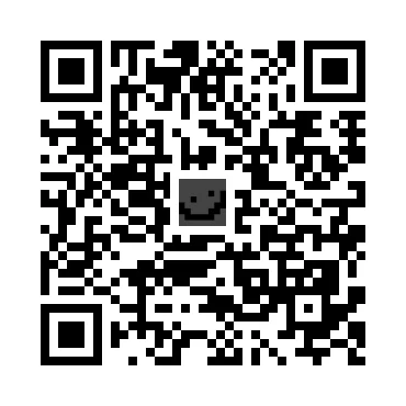 skins.qr_code_alt