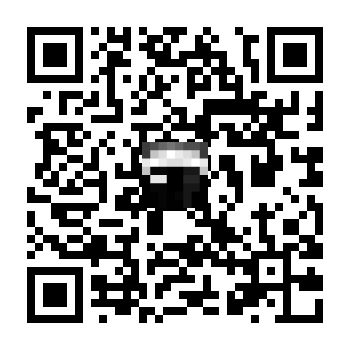 skins.qr_code_alt