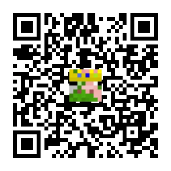 skins.qr_code_alt