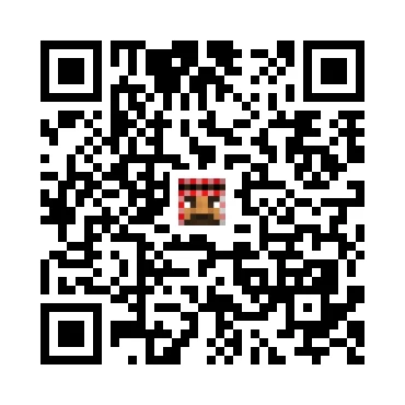 skins.qr_code_alt