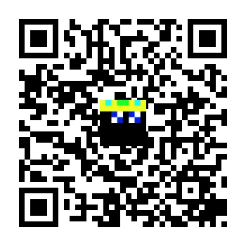 skins.qr_code_alt