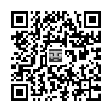 skins.qr_code_alt