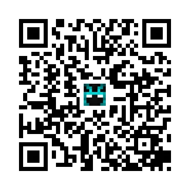 skins.qr_code_alt