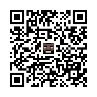 skins.qr_code_alt