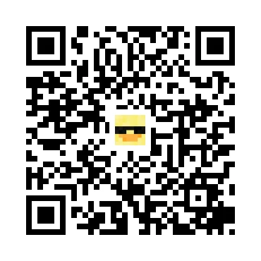 skins.qr_code_alt