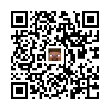 skins.qr_code_alt