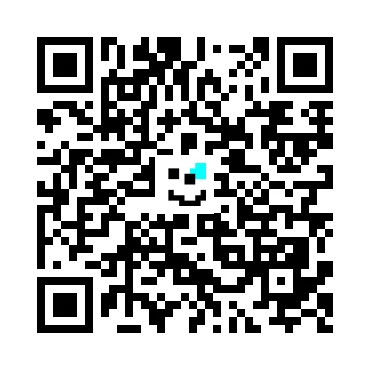 skins.qr_code_alt