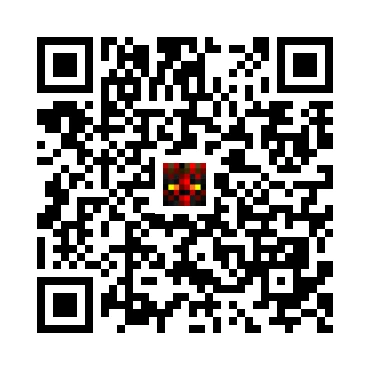 skins.qr_code_alt