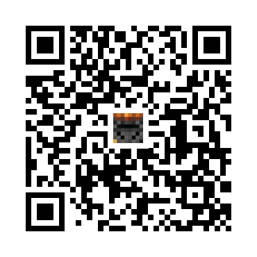 skins.qr_code_alt