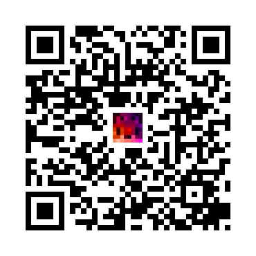 skins.qr_code_alt