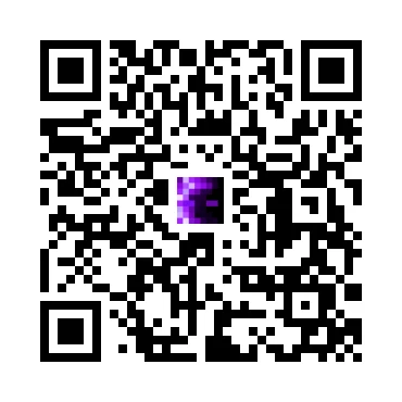 skins.qr_code_alt