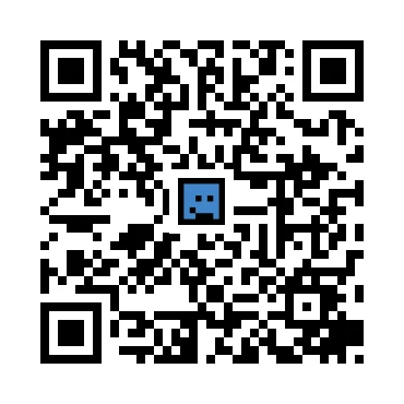 skins.qr_code_alt