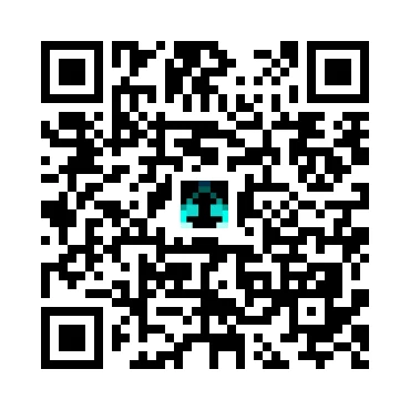 skins.qr_code_alt