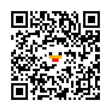 skins.qr_code_alt