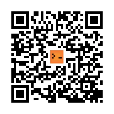 skins.qr_code_alt