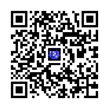 skins.qr_code_alt