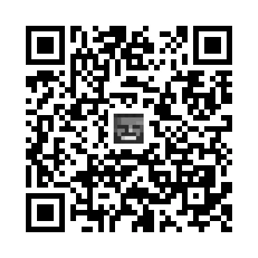 skins.qr_code_alt