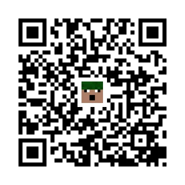 skins.qr_code_alt