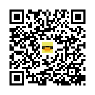 skins.qr_code_alt