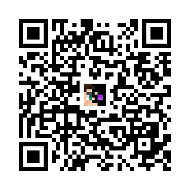 skins.qr_code_alt