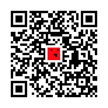 skins.qr_code_alt